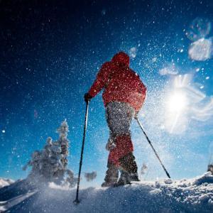 Winter snowshoe Tahoe tours and adventures