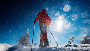 Lake Tahoe winter snowshoe tours and adventures