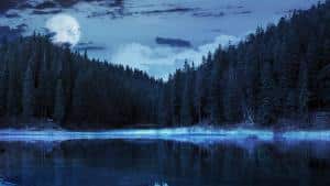 kayak tour moon Tahoe paddle adventure SUP