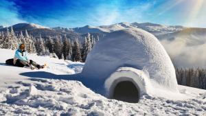 wilderness survival Tahoe adventure winter