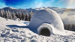 winter survival tahoe snow course hike