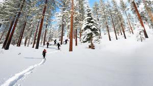 hiking Tahoe snowshoe tours snow adventure