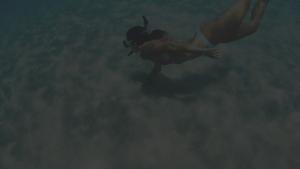 adventure snorkel Tahoe kayak tour
