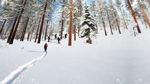 hiking Tahoe snowshoe tours snow adventure