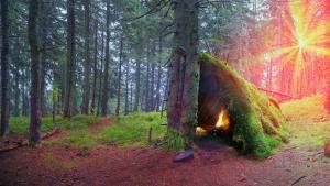 wilderness Tahoe survival summer adventure course