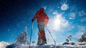 tahoe snowshoe tours