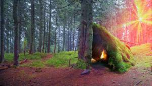Lake Tahoe Silderness Survial Course - Summer