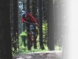 lake tahoe mountain bike tours