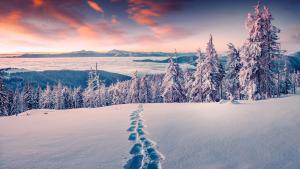 Lake Tahoe winter snowshoe tours and adventures