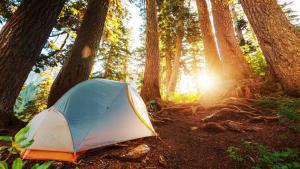 Camping in Lake Tahoe
