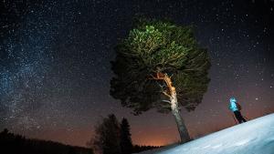 Night snowshoeing stars