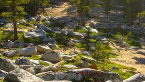 Tahoe mountain bike - cycle tours downhill MTB