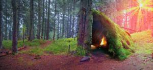 wilderness survival lake tahoe course
