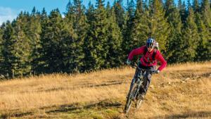 electric-mountain-bike-tahoe