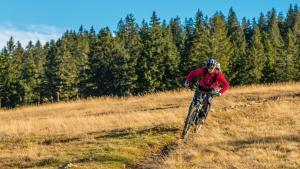 mountain biking lake tahoe
