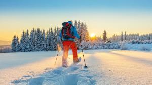 snowshoe in lake tahoe